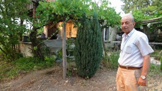 Bahçesine sürekli geyik giren vatandaş çaresiz