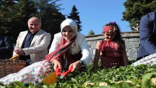 Bakan Göktaştan Rizede Aile Yılı kapsamında ziyaretler