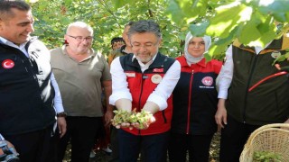 Bakan Yumaklı: Fındık stratejik bir ürün, dünyada birinciyiz