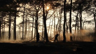 Bakan Yumaklı, yangın büyük ölçüde kontrol altına alındı