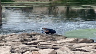 Balık ölümlerinin nedeni aşırı sıcaklar