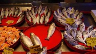 Balıkçıların gözü bu sezon hamside