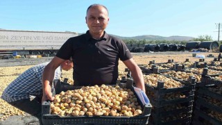 Balıkesir de Havran ilçesi incir de Aydına rakip oldu