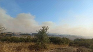 Balıkesirde arazi yangını