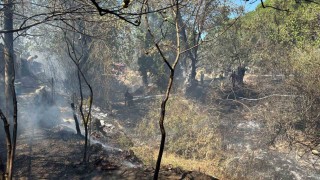 Balıkesirde kırsal alanda çıkan yangın kısa sürede söndürüldü