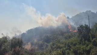 Balıkesirde otluk ve makilik alanda çıkan yangın kontrol altına alındı