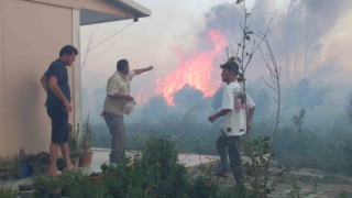 Balıkesirde sazlık yangını 995 haneli siteyi duman altından bıraktı
