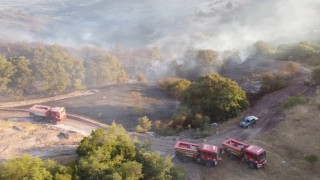 Balıkesirdeki orman yangını kontrol altına alındı