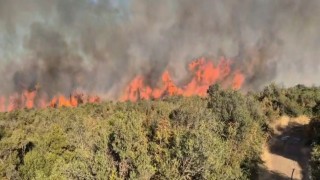 Balıkesirdeki orman yangınına müdahale sürüyor