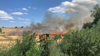 Balya makinelerinden çıkan yangınlar ormanlık alana sıçramadan söndürüldü