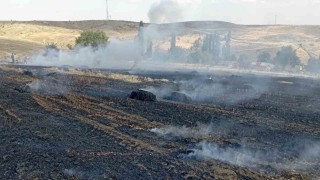 Balya makinesinden çıkan kıvılcım 10 dönüm araziyi kül etti