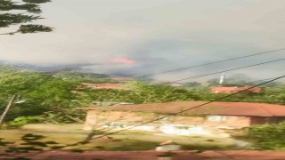 Bartında orman yangını: Alevler rüzgarın etkisiyle yerleşim yerini tehdit ediyor