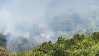 Bartında orman yangını çıktı