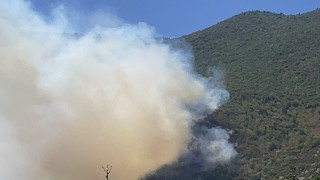 Bartında orman yangını çıktı