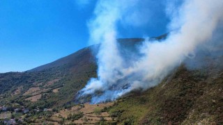 Bartında yangın bölgesi havadan görüntülendi