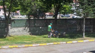 Başkan Çolakbayrakdar, En kıymetli hazinemiz yavrularımıza daha sağlıklı ortamlar hazırlıyoruz