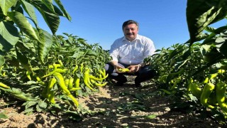 Başkan Özelden tarım işçilerine ziyaret