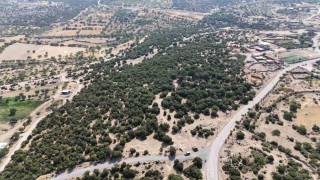 Başkan Pehlivan: Menemenin eşsiz doğasına çöp döktürmeyeceğiz