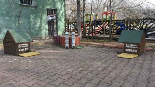 Başkan Tahmazoğlu: Sıcak havalar hayvanları da olumsuz etkiliyor