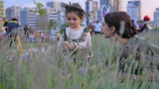 Başkentliler Keçiörendeki lavanta festivaline akın etti