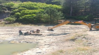 Bataklığa saplanan ineği itfaiye ekipleri kurtardı