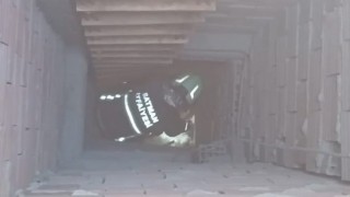 Batman Sanayi Sitesinde iş yerinin hava boşluğunda mahsur kalan kedi kurtarıldı