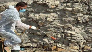 Batmanda akreplerin istila ettiği köyde ilaçlama yapıldı