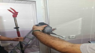 Batmanda site bahçesinde sıkışan güvercin kurtarıldı