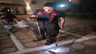 Batmanda site bahçesinde yılan paniği