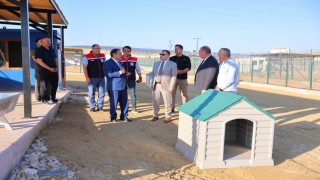 Bayburtta Hayvan Bakım Evi ve Doğal Yaşam Alanı ile hayvan barınağında incelemeler yapıldı