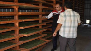 Bayburtta Tarhun Kurutma Tesisi ve üretim alanları incelendi