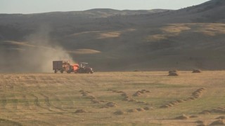 Bayburtun Çayırköprü köyünde 194 balya ot çalındı