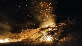 Bayırköyde anız yangını yayılmadan söndürüldü