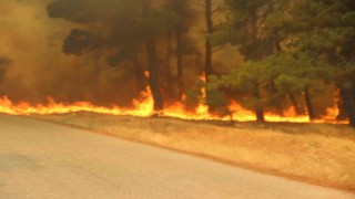 Bayramiçte 3 köy tahliye edildi