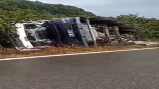 Beton mikseri fındık tarlasına devrildi: Sürücü yaralandı