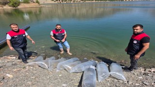Beyhan Baraj Gölüne 50 bin yavru balık bırakıldı