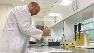 Beyin kanseri tedavisinde yerli ve etkili nano molekül geliştirildi