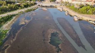 Beyşehir Gölünde sular çekildi, yeni adalar ortaya çıktı