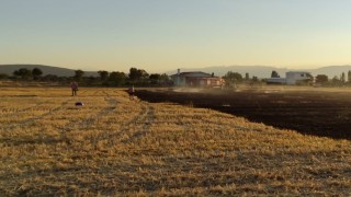 Beyşehirde anız yangınları korkuttu