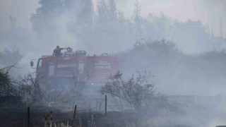 Beyşehirde kampüs yakınlarındaki yangın korkuttu
