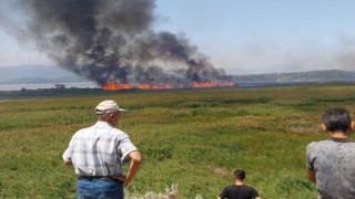 Beyşehirde sazlık alanda çıkan yangın havadan müdahale ile söndürüldü