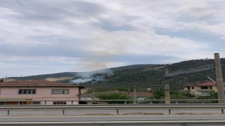 Bilecikte orman yangını