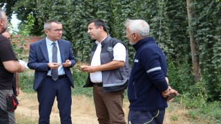 Bilecikte şerbetçi otu incelemesi: Türkiyede sadece Pazaryerinde yetişiyor