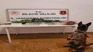 Bilecikte uyuşturucu operasyonu