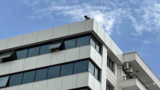 Binanın tepesinden atlamak isteyen şahıs ikna edilerek indirildi