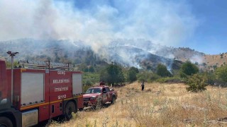 Bingölde köyde çıkan yangın ormana sıçradı, müdahale sürüyor