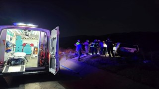 Bingölde otomobil ata çarptı: 2 yaralı