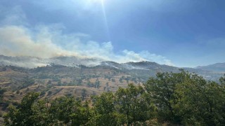 Bingöldeki orman yangını kontrol altına alındı