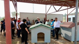 Bitlisteki hayvan barınağı ve doğal yaşam alanı çalışmaları