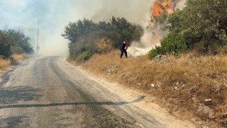 Bodrumda makilik alanda yangın paniği: Havadan ve karadan müdahale sürüyor
